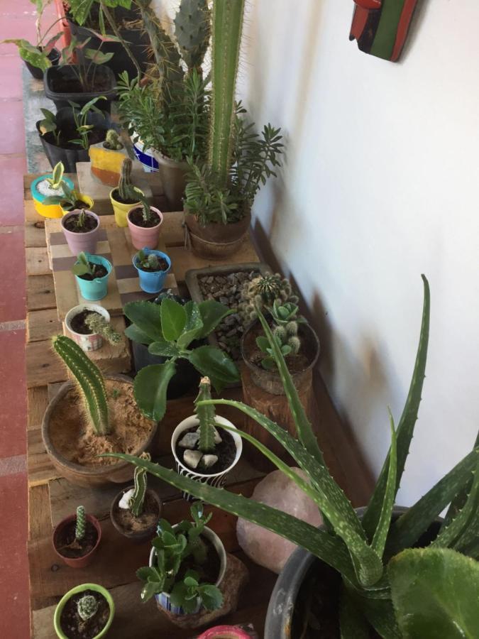 Hostel 35 Canoa Quebrada Eksteriør billede